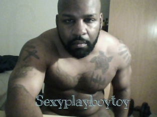 Sexyplayboytoy