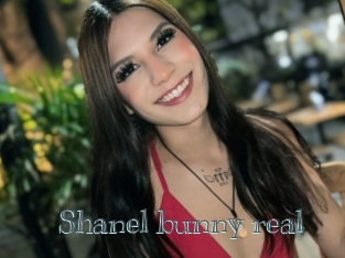 Shanel_bunny_real