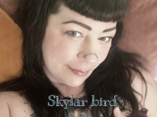 Skylar_bird