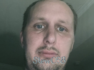 Stew058