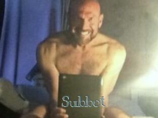 Subbot