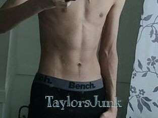 TaylorsJunk