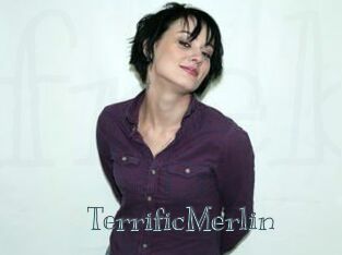 TerrificMerlin