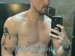 TheSolidSnake23
