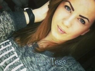 TinyTess