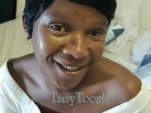 TinyToosh