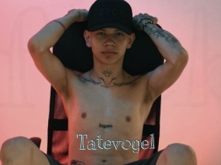 Tatevogel