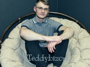 Teddybizon