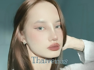 Thaivenus