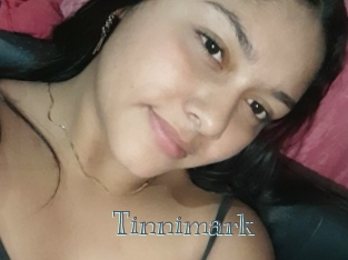 Tinnimark