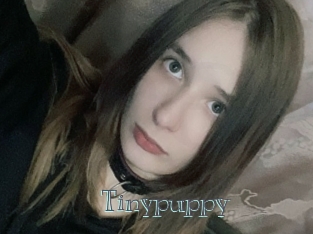 Tinypuppy