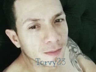 Torvy23