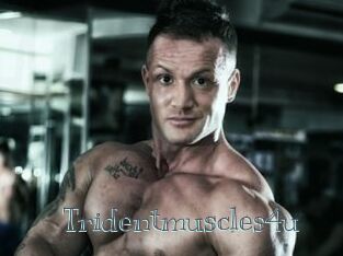 Tridentmuscles4u