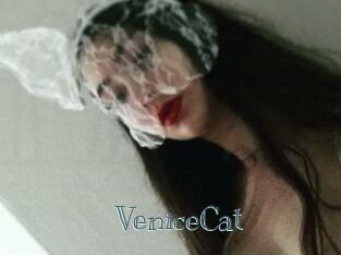 VeniceCat