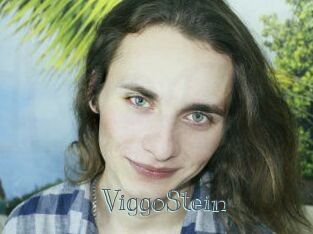 ViggoStein