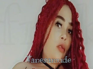 Vanesamude