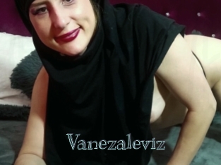 Vanezaleviz