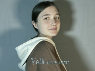 Vellumurr