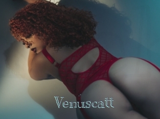 Venuscatt