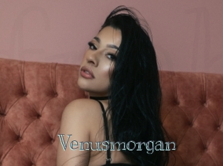 Venusmorgan