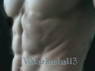 Viktarkushal13