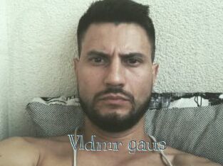 Vldmr_gaus