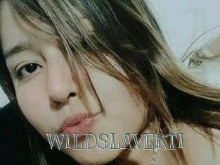 WILDSLAVEKTI