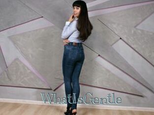 WhatIsGentle