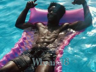 Wbeam18