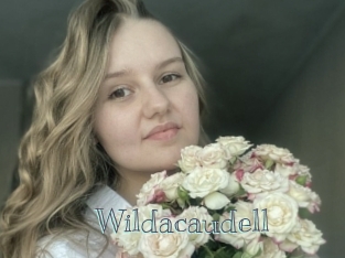 Wildacaudell