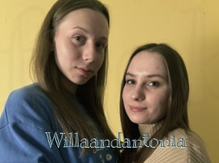 Willaandantonia