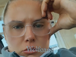 wolfgang Free bizarre links