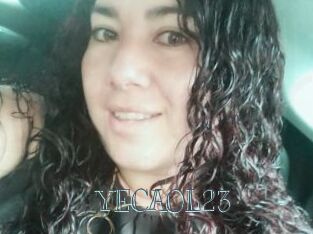 YECAOL23