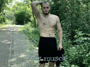 Zefs_muscle