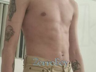 ZorroBoy